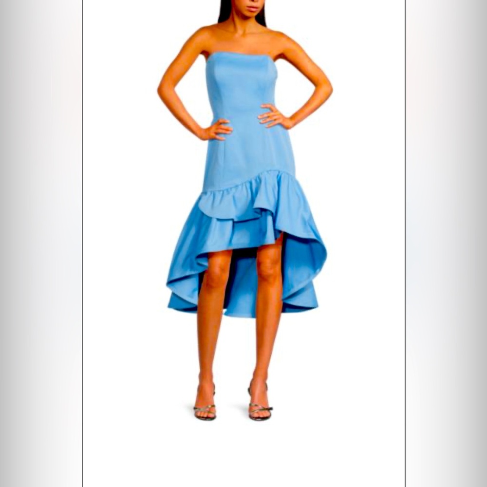 Zac Posen Blue Strapless Fit and Flare Dress